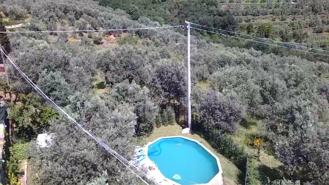 Il Borgo Dei Pini Apartman Vinci Kültér fotó