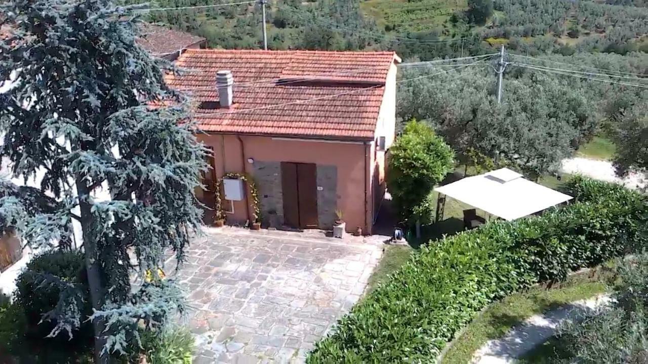 Il Borgo Dei Pini Apartman Vinci Kültér fotó